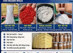 Taical trong, bột đá, hút ẩm, bột bóng, bột tẩy, hạt màu & nhiều loại khác