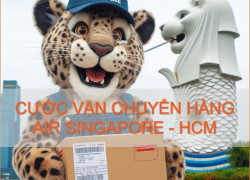 Giá Cước Vận Chuyển Hàng Air Từ Singapore Về Hồ Chí Minh