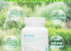 ECOTAB – VI SINH XỬ LÝ BÙN ĐÁY AO, CẢI THIỆN CHẤT LƯỢNG NƯỚC AO NUÔI