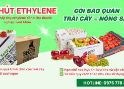 Gói Hút Ethylene Cho Kho Lạnh Bảo Quản Trái Cây Tươi