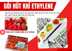 Cách Dùng Gói Hút Ethylene Secco Cho Trái Cây Đúng Cách