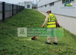 DỊCH VỤ CẮT CỎ ĐỊNH KỲ GIÁ RẺ KCN LỘC AN – BÌNH SƠN ĐỒNG NAI