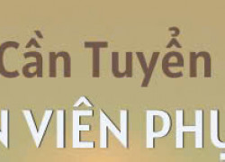 Tuyển nhân viên phục vụ quán nhậu ở Q10