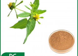 🌿 CAO KHÔ HY THIÊM – DƯỢC LIỆU CHO CÁC SẢN PHẨM XƯƠNG KHỚP 🌿