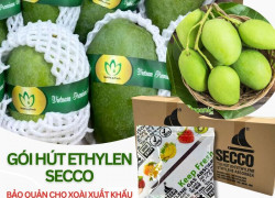 Giải Pháp Hạn Chế Trái Cây Chín Nhanh Khi Vận Chuyển Xa