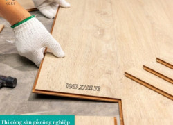 Kinh nghiệm mua sàn gỗ | Chọn độ dày 8mm hay 12mm?