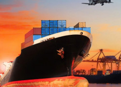 Thủ tục nhập khẩu dây dắt thú cưng