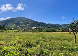Cần Bán Đất Đông Thanh 397m², 200m² Đất Ở, Ô Tô Tận Đất, View Đồi Núi