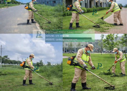 CÔNG TY CÂY XANH UY TÍN ĐỒNG NAI – THI CÔNG & CHĂM SÓC CẢNH QUAN