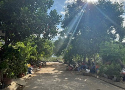 BÁN ĐẤT MẶT TIỀN NGUYỄN HÀM NINH, HÒA XUÂN, ĐÀ NẴNG - GIÁ TỐT