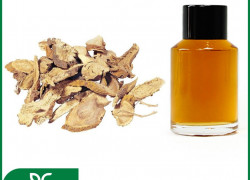 CHIẾT XUẤT KHỔ SÂM BIOGREEN