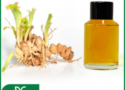 CHIẾT XUẤT ĐỊA LIỀN BIOGREEN - “ĐỘT PHÁ” KHÁNG VIÊM, MỜ NÁM