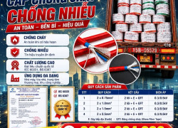 Cáp Chống Cháy Chống Nhiễu 2x0.75mm², 2x1.0mm², 2x1.5mm², 2x2.5mm² ALTEK KABEL