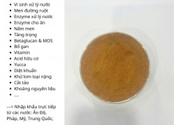 CAROB FEED – GIẢI PHÁP HỖ TRỢ ĐƯỜNG RUỘT & KÍCH ĂN CHO TÔM