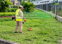 DỊCH VỤ CẮT CỎ – CƯA CÂY LONG THÀNH ĐỒNG NAI