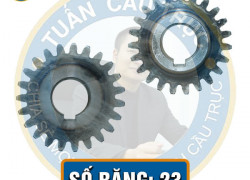 Bánh răng nhỏ M6x23 răng