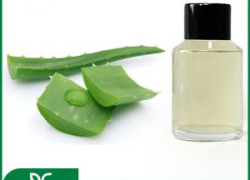 🌱 CHIẾT XUẤT LÔ HỘI BIOGREEN - “THẦN DƯỢC” CẤP ẨM CHUYÊN SÂU & TÁI TẠO LÀN DA 🌱