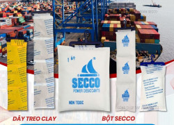 Container 20 Feet Và 40 Feet Cần Bao Nhiêu Bột Hút Ẩm?