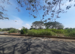 Bán Đất Nền Nhà Phố Kdc 13E Phong Phú - Mặt Tiền Rộng 20M, Đường Ô Tô Có Sổ Hồng