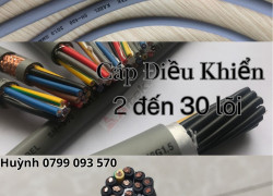 phân phối cáp điều khiển - cáp chống nhiễu 2 đến 30 lõi