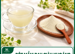 BỘT MẦM RAU GIÀU KHOÁNG - NGUYÊN LIỆU CHO CÁC SẢN PHẨM DINH DƯỠNG