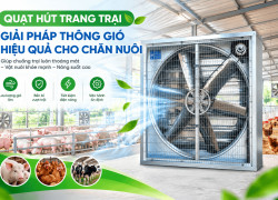 Quạt hút trang trai chăn nuôi