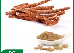 CAO KHÔ ĐAN SÂM BIOGREEN - THẢO DƯỢC HOẠT HUYẾT HÓA Ứ CHO DƯỢC PHẨM