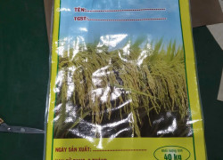 Mua Bao Lúa 40kg Có Nilon Sẵn Ở Đâu Uy Tín, Chất Lượng?