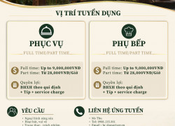 ONE RIVER tuyển NV phục vụ & phụ bếp làm ở Q1