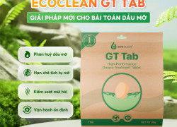 ECOCLEAN GT TAB – VIÊN NÉN VI SINH XỬ LÝ DẦU MỠ
