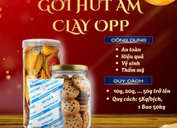 Gói hút ẩm dùng cho hàng ăn vặt đang thịnh hành thị trường