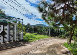 Cần Bán Đất 2 Mặt Tiền 236m² Trong Khu Nghỉ Dưỡng, Bao Quanh Bởi Thông Xanh