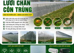 LƯỚI CHẮN CÔN TRÙNG HDPE