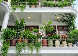 Siêu phẩm Biệt thự 132m2 phố Hoàng Văn Thái cách vành đai 2.5 chỉ 100m, 2 mặt tiền đường view hồ