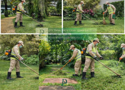 DỊCH VỤ CẮT CỎ – CƯA CÂY ĐỒNG NAI | BÁO GIÁ NHANH CHÓNG