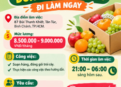 TUYỂN NHÂN VIÊN ĐÓNG GÓI TRÁI CÂY BÌNH CHÁNH