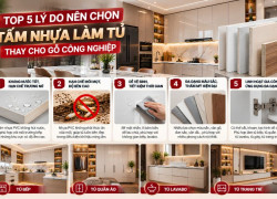 Top 5 lý do nên chọn tấm nhựa làm tủ thay cho gỗ công nghiệp
