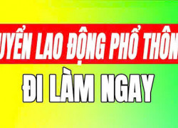 Tuyển NV nam biết may cơ bản, có chỗ ở lại tại Q12