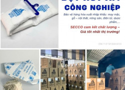 Hàng gỗ, may mặc, giày dép đi biển nên chọn hút ẩm nào?