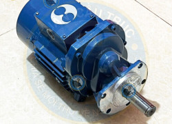 Động cơ di chuyển pa lăng Sungdo 0.75kw X 4P