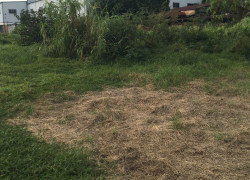 🔥 CHÍNH CHỦ BÁN GẤP 2.779M² ĐẤT HÓC MÔN – GIÁ CHỈ 20 TRIỆU/M²