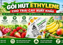 Gói hút ethylene – Giải pháp hỗ trợ bảo quản trái cây