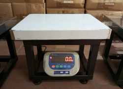 Cân ghế ngồi điện tử THW