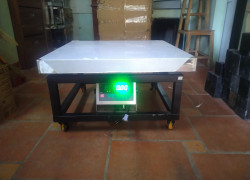 Cân ghế ngồi điện tử DI-28SS