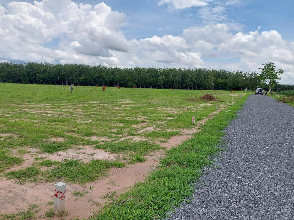 Đất đầu tư gần TP Tây Ninh chỉ 350triệu/1000m2 đất, sổ sẵn, hàng sinh lời cao