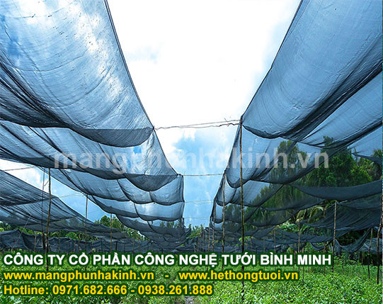 Công Ty nhập khẩu,phân phối lưới che nắng Thái Lan,lưới cắt nắng thái lan,lưới che nắng thái lan chính hãng