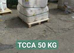 TCCA 90% - Xử lý nước bể bơi, ao nuôi thủy sản