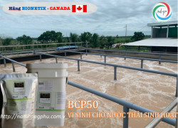 BCP50 Men vi sinh xử lý nước thải sinh hoạt, bênh  viện