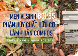 BCP85 Men vi sinh pân hủy chất hữu cơ để ủ rác làm phân compost