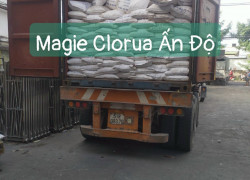 Magie chlorua (MgCl2.6H2O), Ấn độ